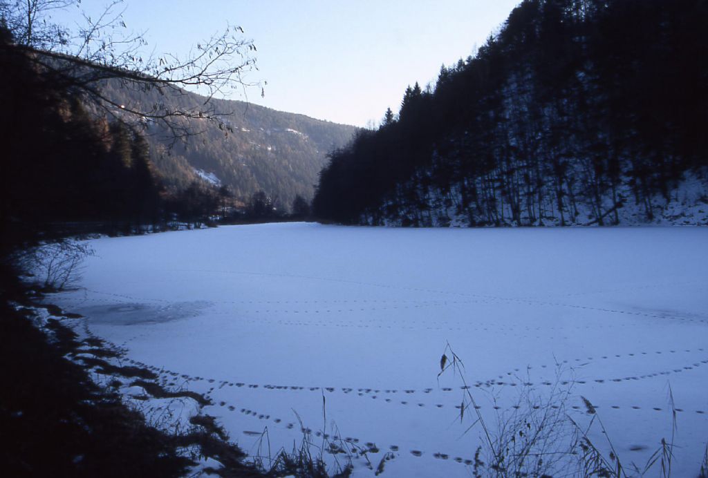 Laghi.......del TRENTINO